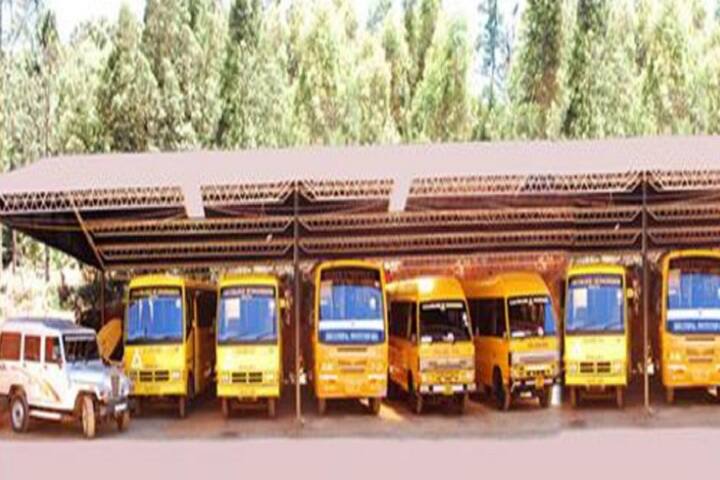 transport